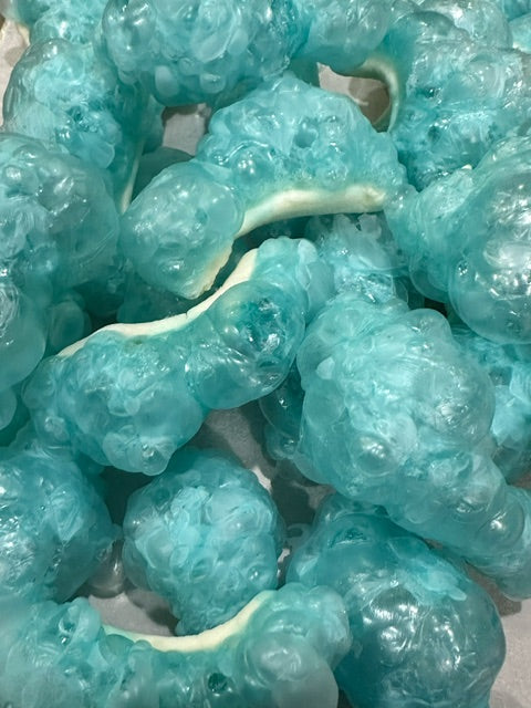 Freeze Dried Blue Sharks 6 piece